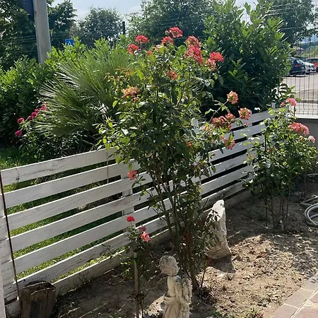 Madonna Dell'ancora * Sassuolo