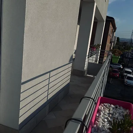 Madonna Dell'ancora *