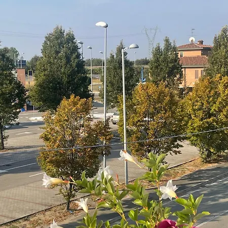 Madonna Dell'ancora *