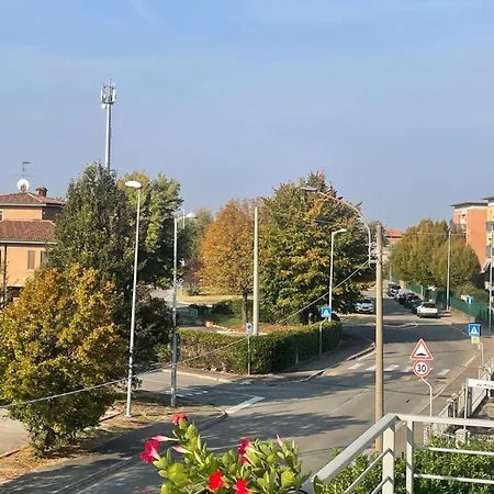 Madonna Dell'ancora *