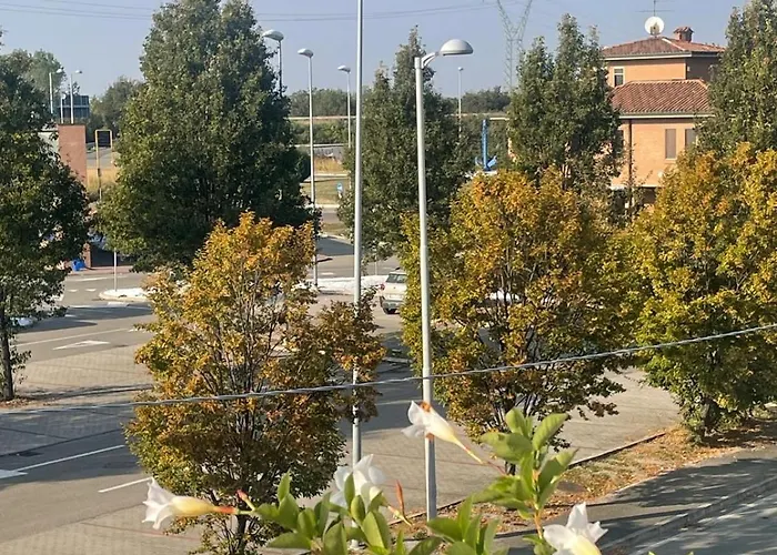 Madonna Dell'ancora *